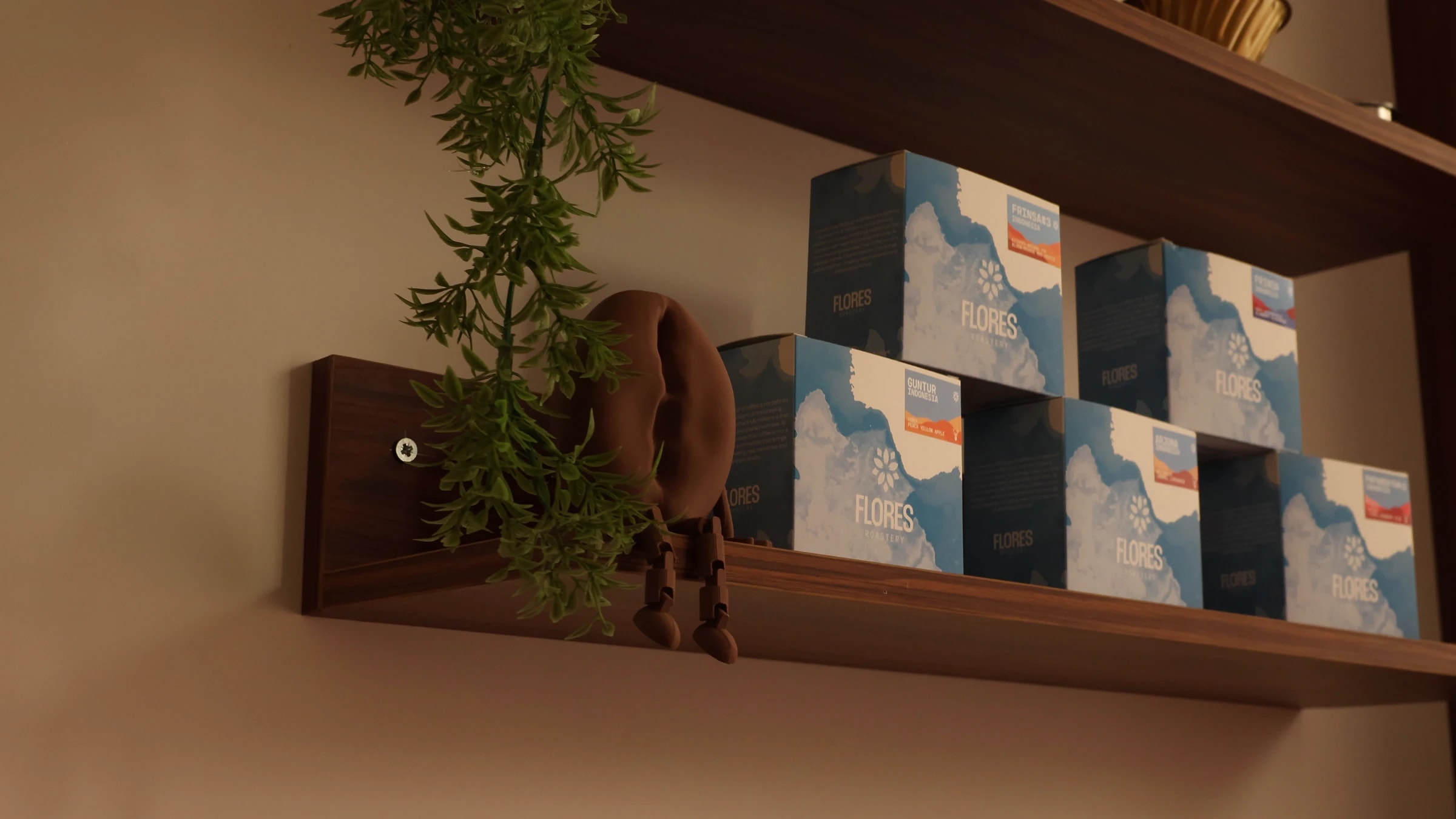 Coffee Bar rafında dizili Flores Roastery kahve kutuları