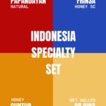 Indonesia Coffee Set (4 x 100 gr) – Frinsa,Papandayan,Arjuna & Guntur