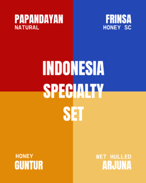 Indonesia Coffee Set (4 x 100 gr) – Frinsa,Papandayan,Arjuna & Guntur